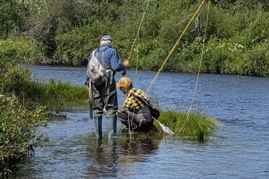 Flifiwoche143_8_11zon_3_11zon