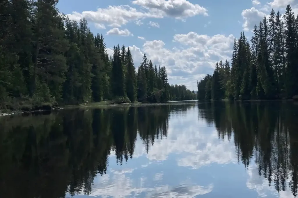 Flifiwoche146_11_11zon_6_11zon