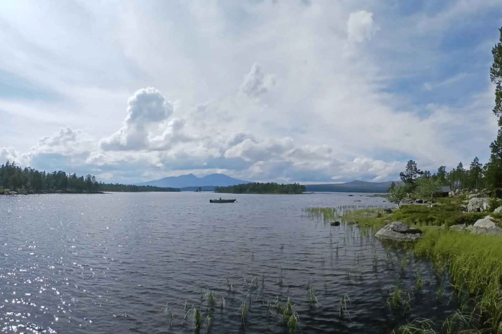 Spinnfliegen-Total182_3_11zon