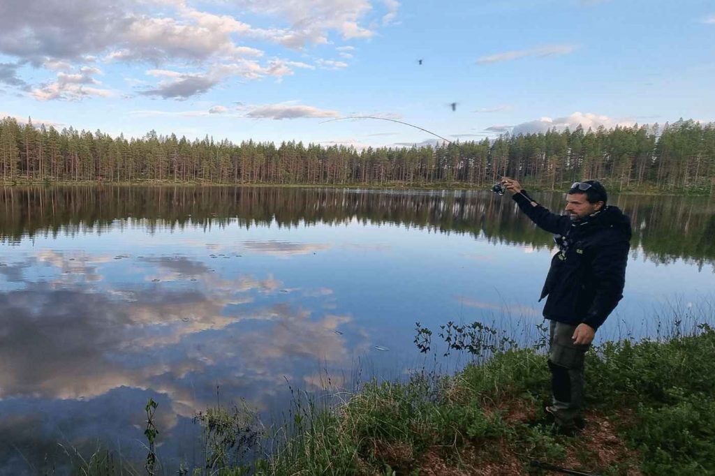 Spinnfliegen-Total183_4_11zon