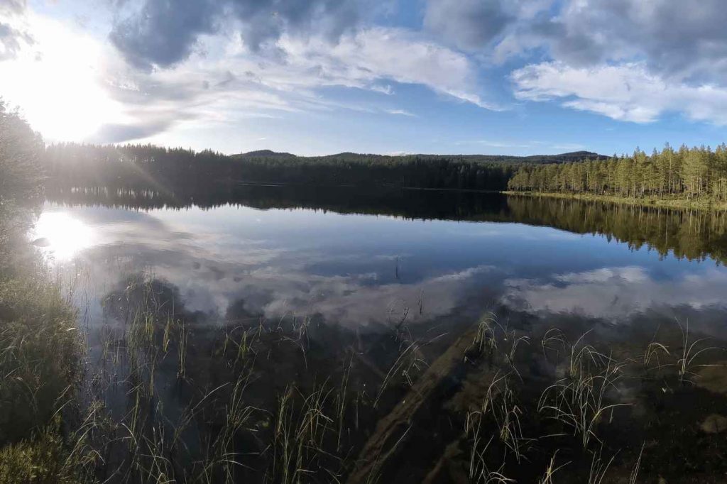 Spinnfliegen-Total184_5_11zon