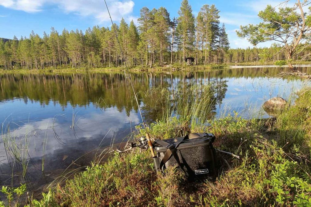 Spinnfliegen-Total185_6_11zon
