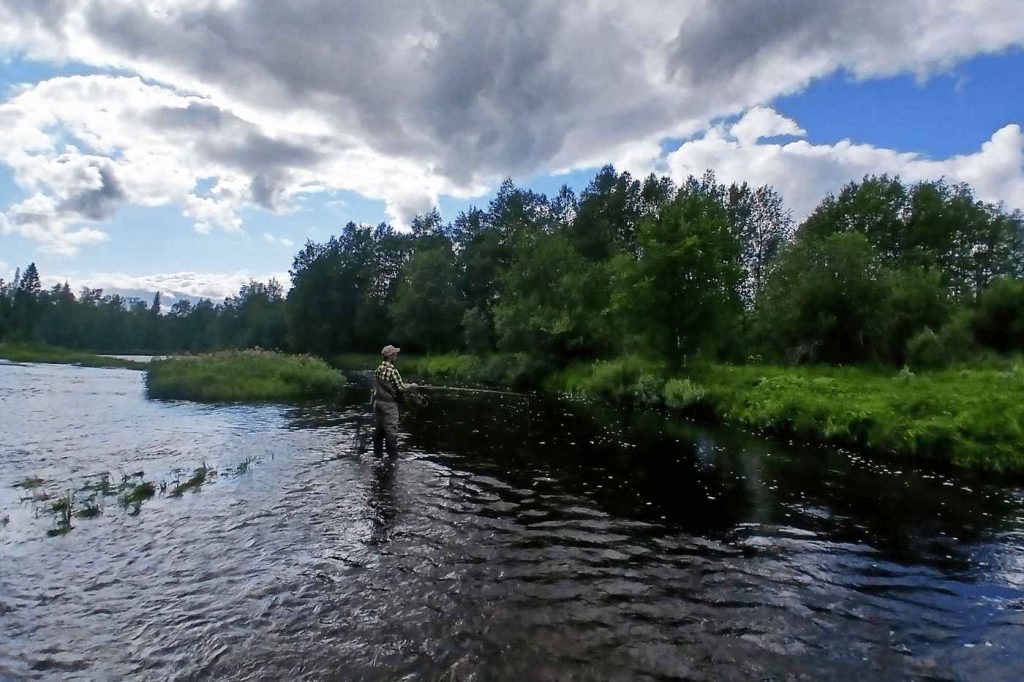 Spinnfliegen-Total188_8_11zon