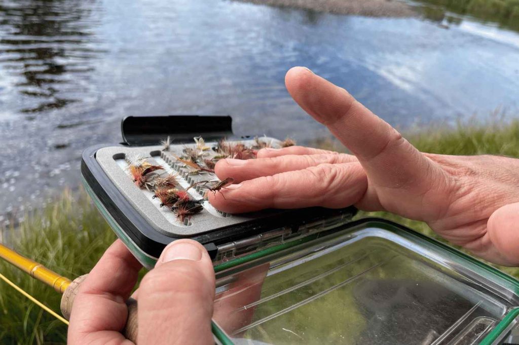 Spinnfliegen-Total189_9_11zon