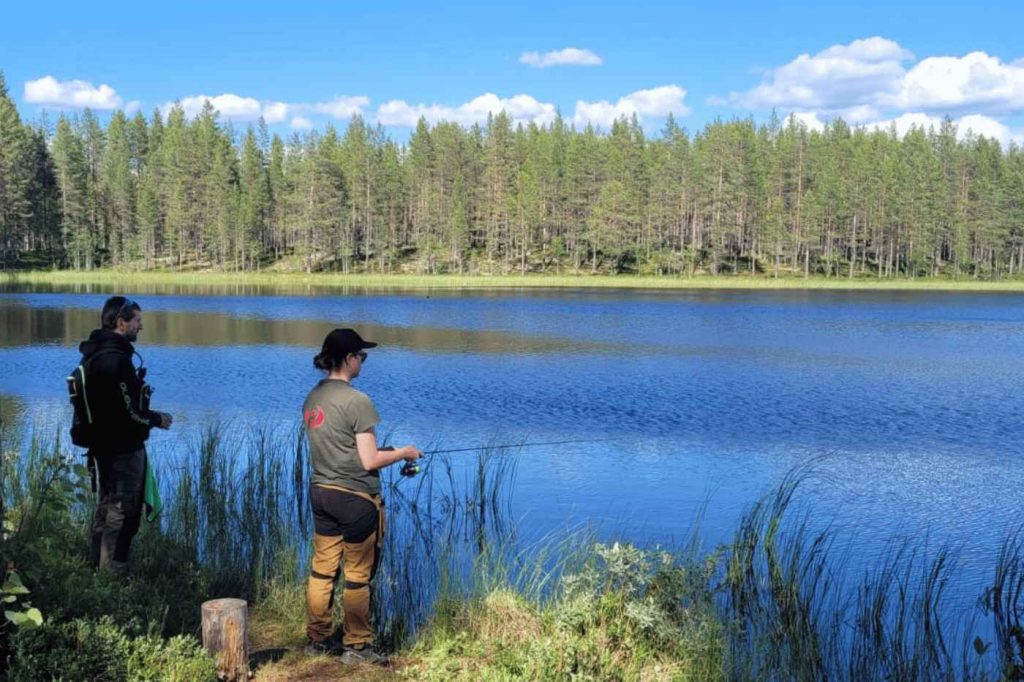 Spinnfliegen-Total190_10_11zon