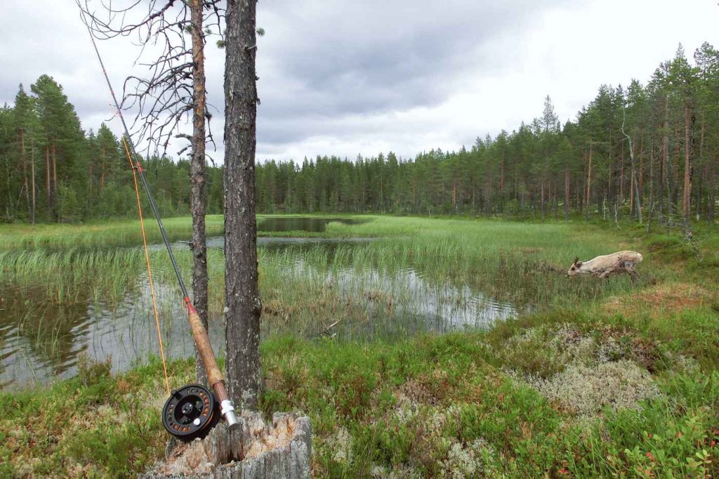 Spinnfliegen-Total192_12_11zon