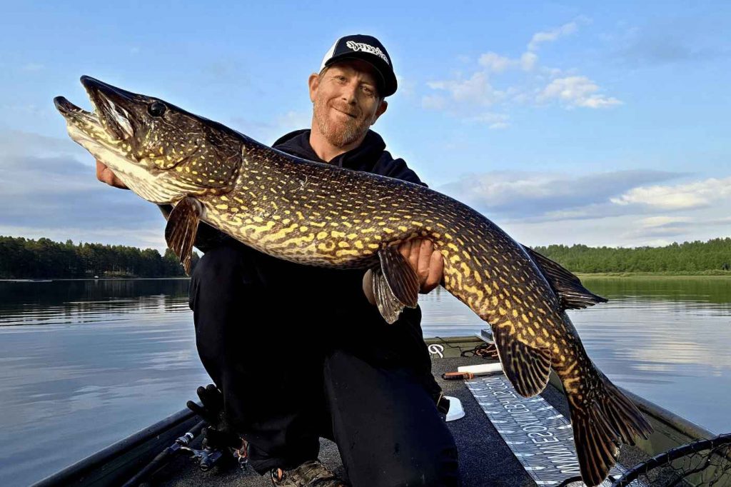 Spinnfliegen-Total193_13_11zon