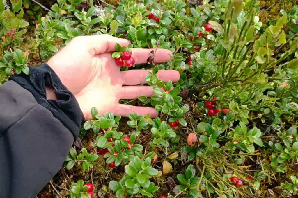 kajakexpid_carousel7_9_11zon