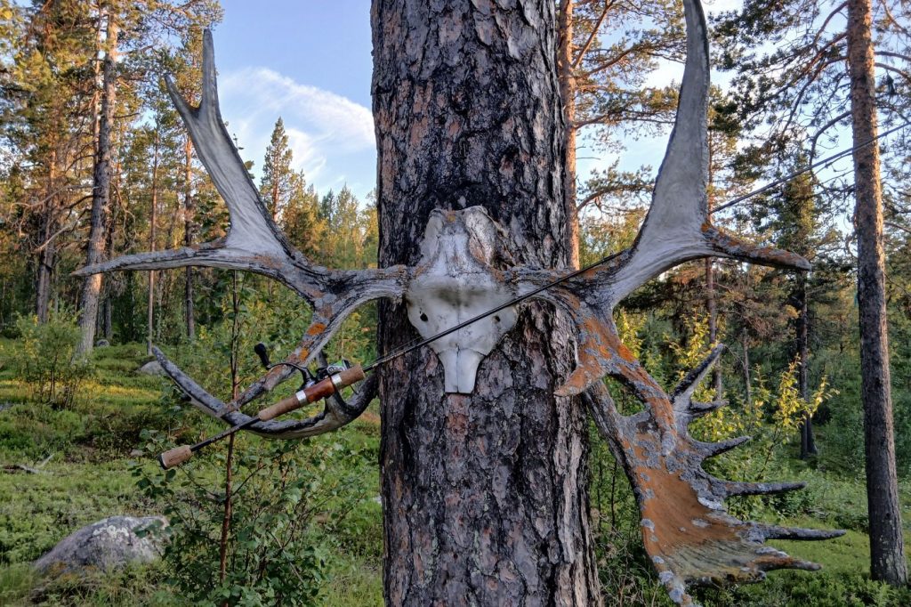 Salmoniden Heli Trip Lappland - Angel