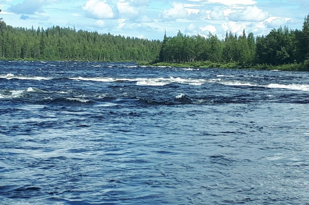 Salmoniden Heli Trip Lappland -Wildfluss