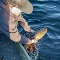 Nachhaltig about us Nachhaltig about us